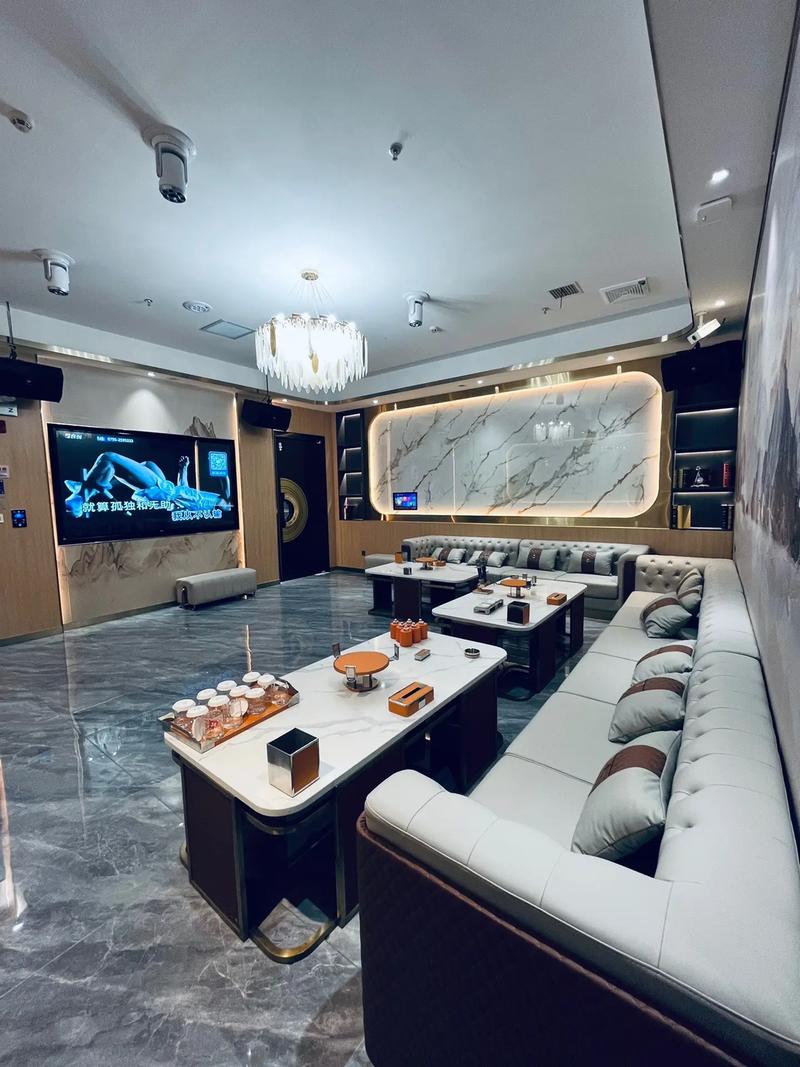 周口商务ktv价格多少钱一个小时-扶沟县ktv预定